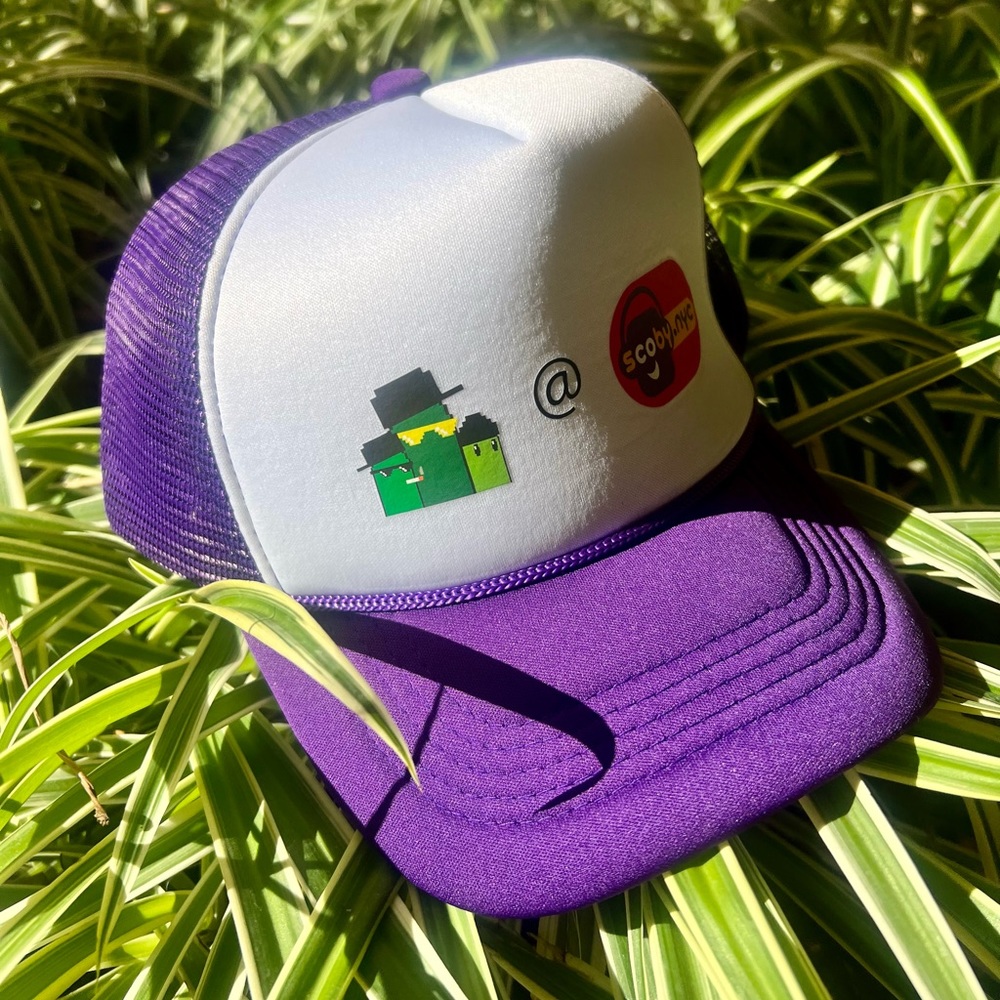 Purple trucker hat